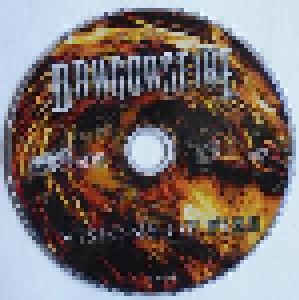 Dragonsfire: Visions Of Fire (CD) - Bild 3