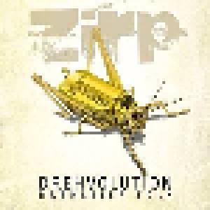ZiRP: Drehvolution Drehleier Folk - Cover