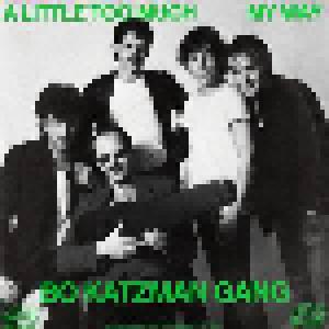 Bo Katzman Gang: Little Too Much, A - Cover