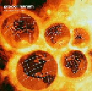 Procol Harum: The Well's On Fire (CD) - Bild 1