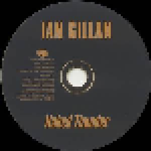 Ian Gillan: Naked Thunder (CD) - Bild 3