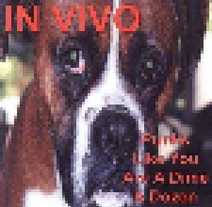 In Vivo: Punks Like You Are A Dime A Dozen (CD) - Bild 1