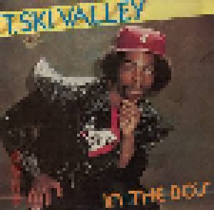 Cover - T.Ski Valley: In The 80's