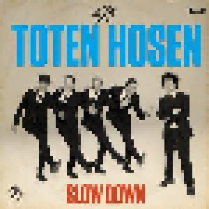 Die Toten Hosen: Slow Down - Cover