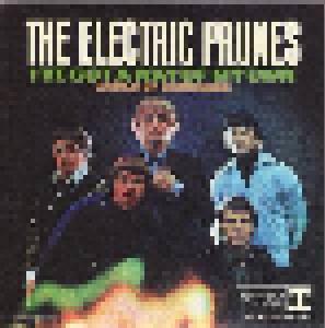 The Electric Prunes: I've Got A Way Of My Own - Cover