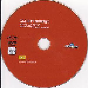 Elliott Murphy: Never Say Never - The Best Of 1995-2005...And More (CD + DVD) - Bild 4