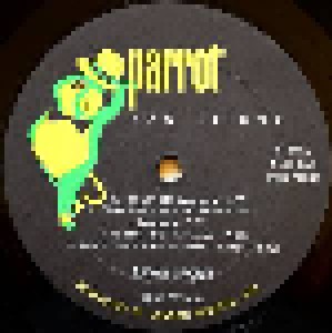 Savoy Brown: Raw Sienna (LP) - Bild 6