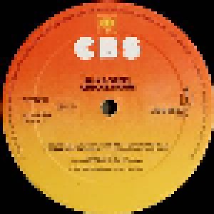Chi Coltrane: Silk & Steel (LP) - Bild 5