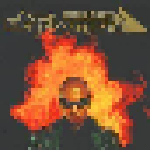 D-Flame: Basstard (2-LP) - Bild 1