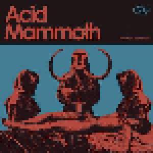 Acid Mammoth: Acid Mammoth - Cover