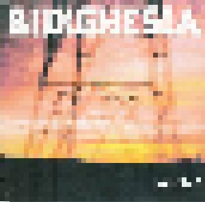 Borghesia: Message (3"-CD) - Bild 1