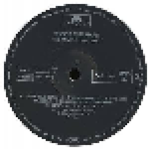 Roger Chapman: Hybrid And Lowdown (LP) - Bild 4