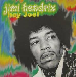 Jimi Hendrix: Hey Joe! - Cover