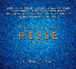 Schönherz & Fleer: Hesse Projekt "Die Welt Unser Traum" - Cover