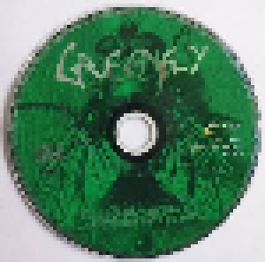 Greenfly: Hidden Pleasures Of A Nonexistent Reality (Promo-CD) - Bild 3