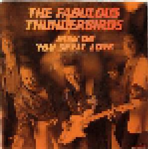 The Fabulous Thunderbirds: How Do You Spell Love - Cover