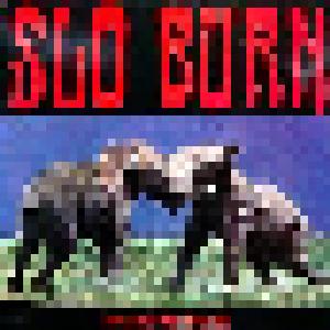 Slo Burn: Amusing The Amazing - Cover
