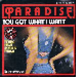 Cover - Paradise: You Got What I Want