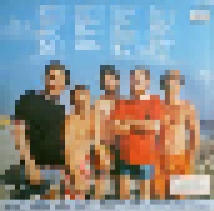 The Beach Boys: Gold Collection (2-LP) - Bild 2