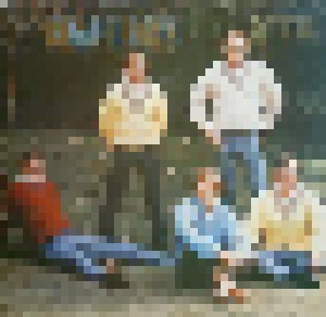 The Beach Boys: Gold Collection (2-LP) - Bild 1