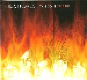 The Strokes: This CD Is On Fire (CD) - Bild 1