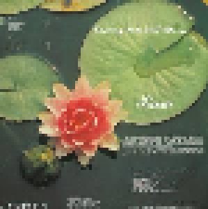 Rasa: Coming Into Full Bloom (LP) - Bild 2