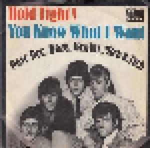 Dave Dee, Dozy, Beaky, Mick & Tich: Hold Tight! - Cover