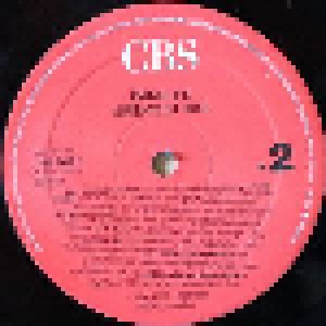 The Bangles: Greatest Hits (LP) - Bild 3