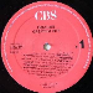 The Bangles: Greatest Hits (LP) - Bild 4