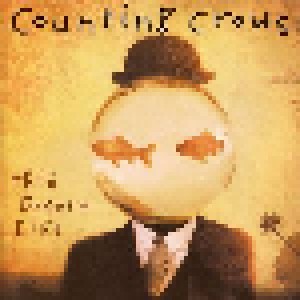 Counting Crows: This Desert Life (CD) - Bild 1