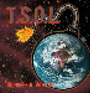 T.S.O.L.: Wonderful World? - Cover