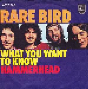 Rare Bird: What You Want To Know - Cover
