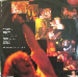 Warren Zevon: Stand In The Fire (LP) - Bild 4