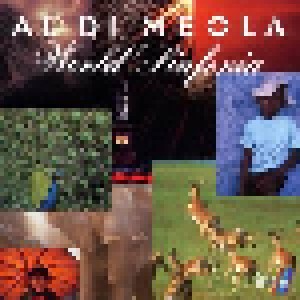 Cover - Al Di Meola: World Sinfonia