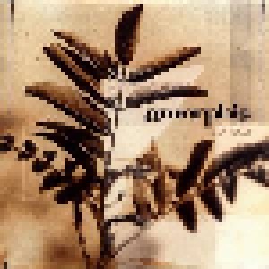 Amorphis: Tuonela (Promo-CD) - Bild 1