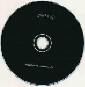 Rich Hopkins & Luminarios: Tinitus (CD) - Bild 3