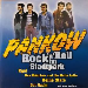 Pankow: Rock'n' Roll Im Stadtpark - Cover