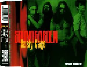 Soundgarden: Rusty Cage (Single-CD) - Bild 2