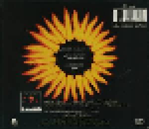 Soundgarden: Black Hole Sun (2-Single-CD) - Bild 2