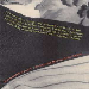 Jesse Harris & The Ferdinandos: Crooked Lines (CD) - Bild 7