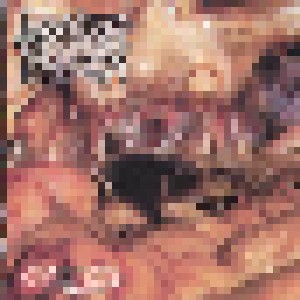 Torsofuck + Lymphatic Phlegm: Torsofuck / Lymphatic Phlegm (Split-CD) - Bild 2