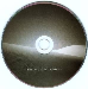 Nine Inch Nails: Ghosts I-IV (2-CD) - Bild 3