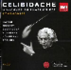 Sergiu Celibidache – Symphonies - Cover