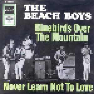 The Beach Boys: Bluebirds Over The Mountain - Cover