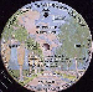 Ry Cooder: Show Time (LP) - Bild 3