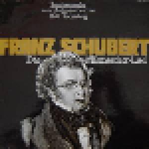 Franz Schubert: Männerchor-Lied (Sonderausgabe Zum Gedenken An Den 150. Todestag), Das - Cover