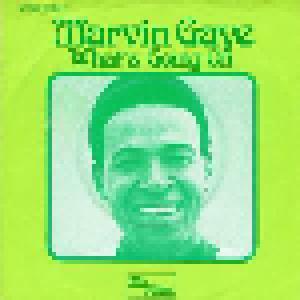 Marvin Gaye: What's Going On - Cover