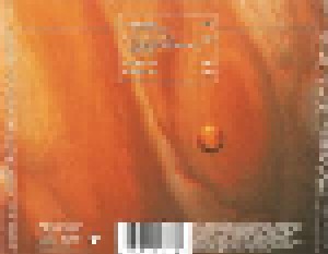 Tori Amos: Hey Jupiter / Professional Widow (Single-CD) - Bild 2