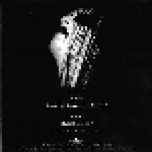 Dimmu Borgir: Stormblåst MMV (LP + 7") - Bild 8