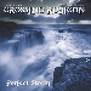 Crossing Rubicon: Perfect Storm - Cover